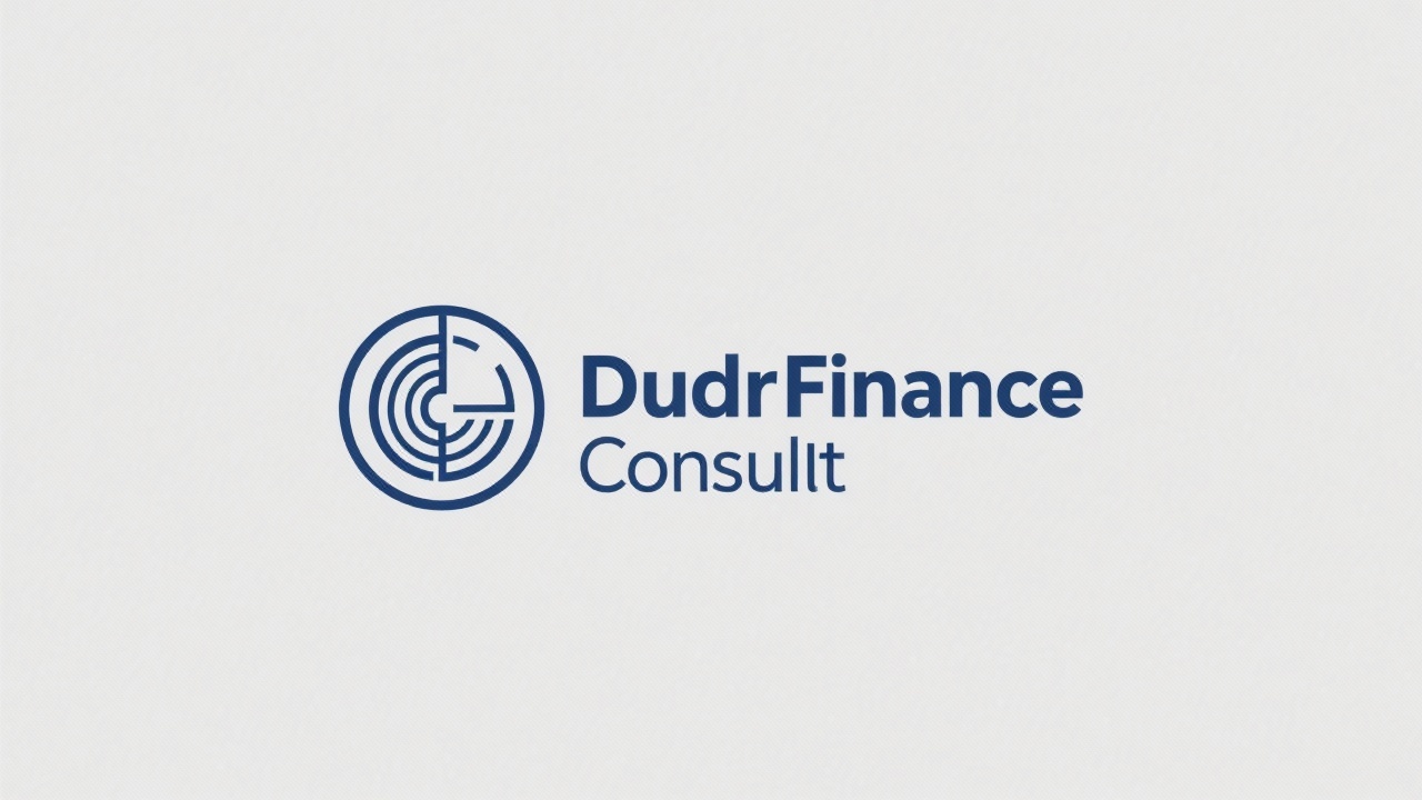 Minimalistic Dutch Finance Consult logo with clean navy typography and subtle circular emblem representing analytical precision